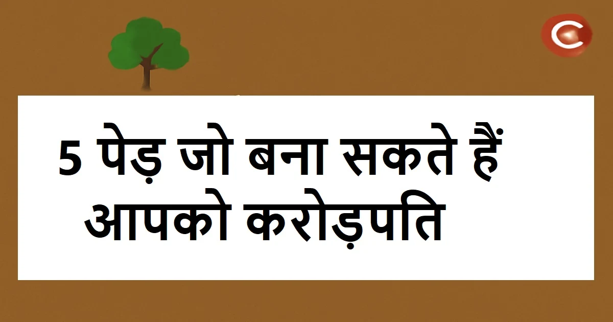 एफडी और शेयर छोड़िए, ये 5 पेड़ बना सकते हैं आपको करोड़पति!