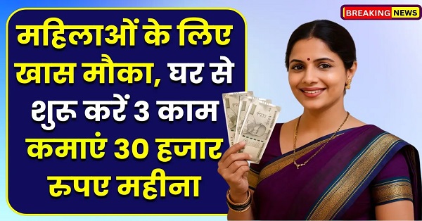 Women Work From Home Business Idea घर पर टिफिन बनाकर ग्राहकों तक पहुंचाती महिला