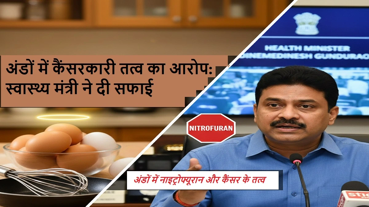 अंडों में कैंसरकारी तत्व, स्वास्थ्य मंत्री डॉ. दिनेश गुंडू राव का बयान