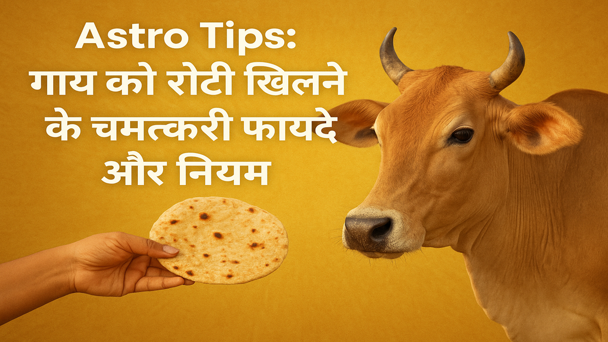 गाय को रोटी खिलाने के धार्मिक और ज्योतिषीय लाभ
