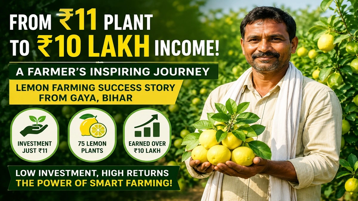 Bihar farmer Ranjit Kumar standing in lemon orchard after earning over 10 lakh rupees from profitable lemon farming in Gaya district