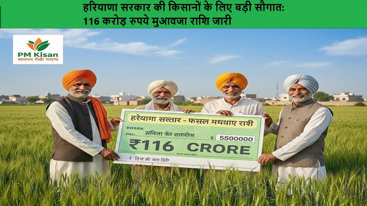 हरियाणा सरकार की किसानों के लिए बड़ी सौगात - 116 करोड़ रुपये मुआवजा राशि