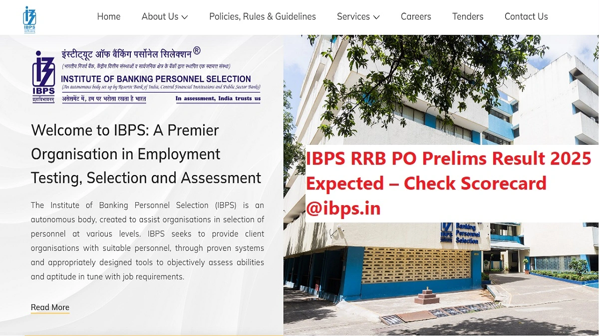 IBPS RRB PO Prelims Result 2025 – Officer Scale-I Scorecard Download