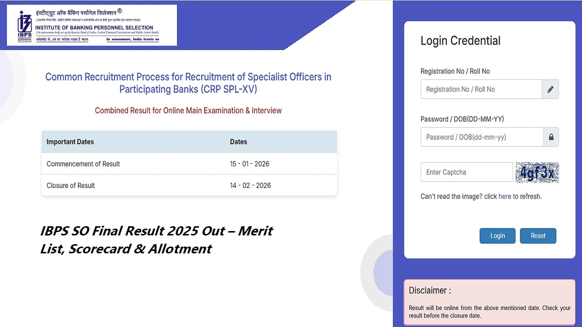 IBPS SO Final Result 2025 merit list, scorecard and provisional allotment details at ibps.in