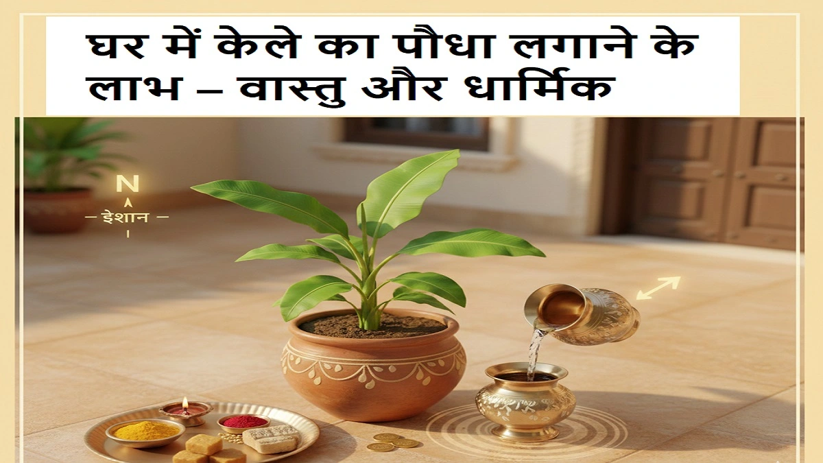 घर में केले का पौधा लगाने के लाभ- वास्तु शास्त्र और धार्मिक मान्यताएं