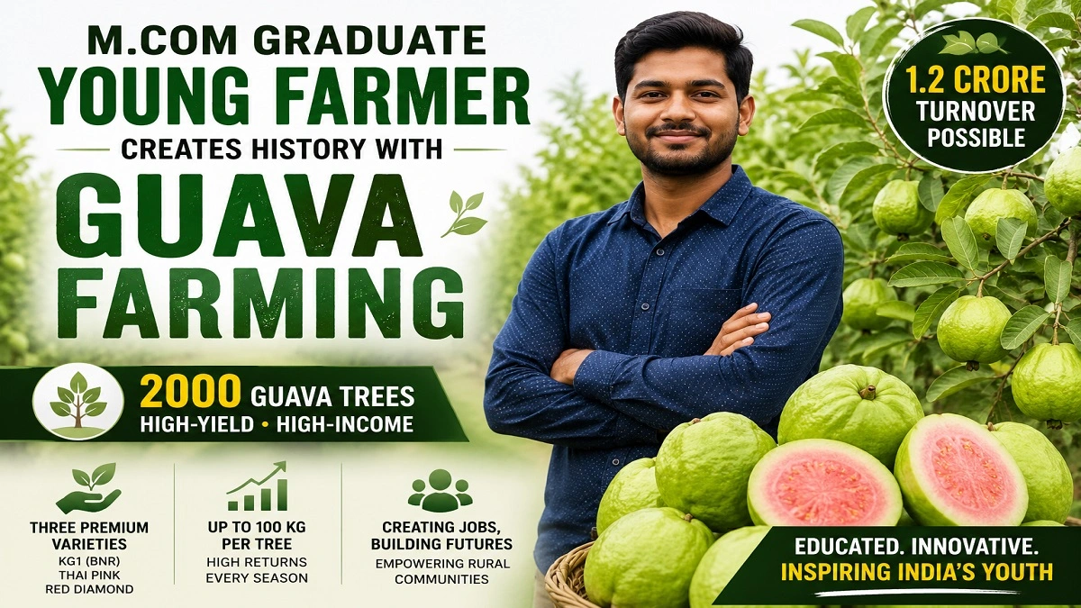 M.Com graduate young farmer Prakhar Prashant Pandey standing in a guava orchard with high-yield guava trees in Ballia Uttar Pradesh