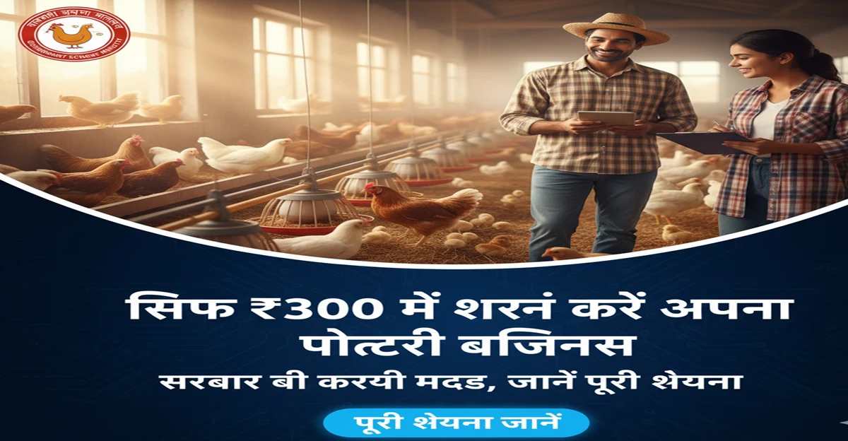 सिर्फ ₹300 में शुरू करें अपना पोल्ट्री बिजनेस: सरकार भी करेगी मदद, जानें पूरी योजना
