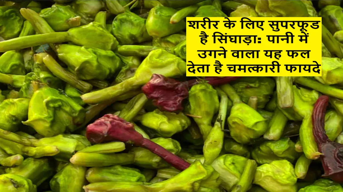 सिंघाड़ा खाने के फायदे: एनर्जी, पाचन और ब्लड प्रेशर के लिए सुपरफूड
