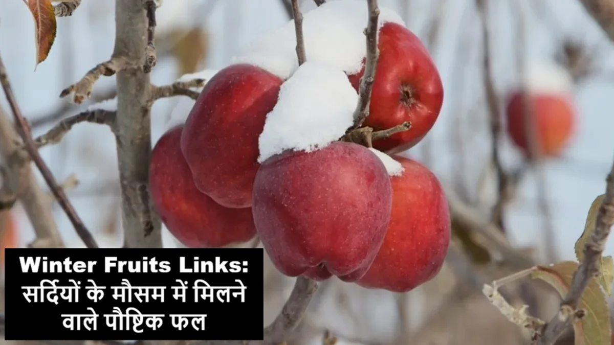 सर्दियों में उगने वाले फल जैसे संतरा, सेब, अनार, कीवी और स्ट्रॉबेरी की तस्वीर